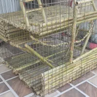 قفس حیوانات|لوازم جانبی حیوانات|صومعه‌سرا, |دیوار