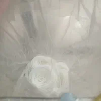 چند همکار خانم پاره وقت