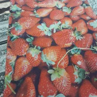 فرش ۴ متری طرح میوه ای|فرش|محمدشهر, شهرک چمران|دیوار