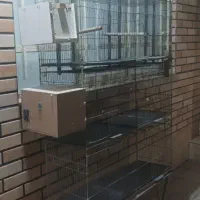 قفس پرون|لوازم جانبی حیوانات|صفادشت, |دیوار