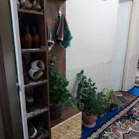 جاکفشی و آینه|جاکفشی، کمد، دراور|شیراز, دارالرحمه|دیوار