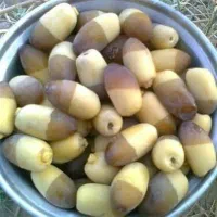 خرمای تازه
