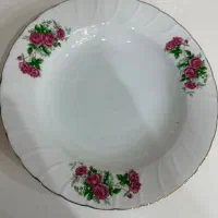 انواع پیش دستی  و بشقاب غذاخوری و بشقاب خورشت خوری