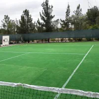 زمین تنیس چمن درقم