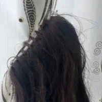 گیس|آرایشی، بهداشتی، درمانی|مشهد, طبرسی شمالی|دیوار