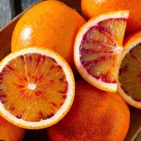 فروش پرتقال