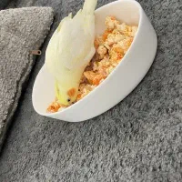 عروس هلندی گمشده|حیوانات|مشهد, شهید فرامرز عباسی|دیوار