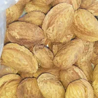 بادام کاغذی شکوفه