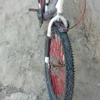 دوچرخه ۲۴|دوچرخه، اسکیت، اسکوتر|قصابه, |دیوار