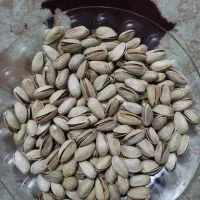 پسته خشک امساله