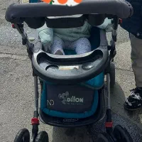 سرویس کالسکه وگل مصنوعی