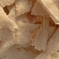 نان خشک فروشی