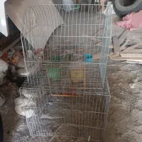 قفس پرنده و وسایل پرنده فروشی با قیمت مناسب