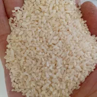 برنج لاشه نیمدانه هاشمی کم دودی|خوردنی و آشامیدنی|قزوین, |دیوار