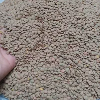 حبوبات بذر کاشت کشاورز|خوردنی و آشامیدنی|تهران, سجاد|دیوار
