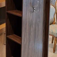 آینه و چوب لباسی گردان|جاکفشی، کمد، دراور|اصفهان, طامه|دیوار