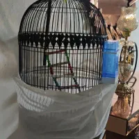 قفس قناری|لوازم جانبی حیوانات|تربتحیدریه, قائم|دیوار