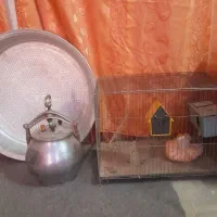 وسایل|حراج|یزد, |دیوار