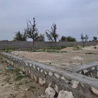 زمین باغی شهر رمکان