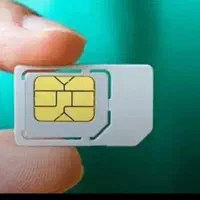 فروش خط رند