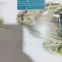 معلم خصوصی  علوم متوسطه اول