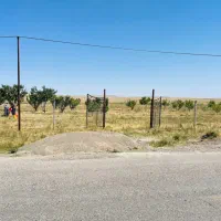 باغ زمین ۳۷۰۰ متری|فروش زمین و ملک کلنگی|قره قوین, |دیوار