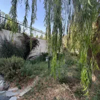 ۲۵۲۱متر زمین سرخاب کردان تهراندشت فقط یک هفته|فروش زمین و ملک کلنگی|کرج, عظیمیه|دیوار
