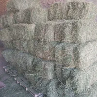 پرس یونجه