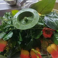 گل رو میزی یا روی جا کفشی