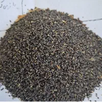 بذر سفید و بنفش|گل و گیاه طبیعی|کوهدشت, |دیوار