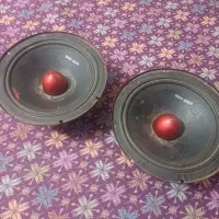 میدرنج در حد نو