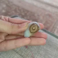 سنگ باباقوری|کلکسیون اشیاء عتیقه|تهران, اتحاد|دیوار