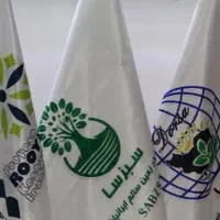 حسابدار و کارشناس مالی