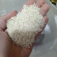 برنج درجه یک عنبربو جنوب عطری باب منزل|حراج|قم, نیروگاه|دیوار