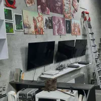 تعدادی ps4 کنسول و تلوزیون tv|کنسول، بازی ویدئویی و آنلاین|بهارستان, |دیوار