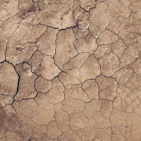 فروش زمین شهرک مصلی