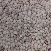 فروش حبوبات تازه|خوردنی و آشامیدنی|تهران, جیحون|دیوار