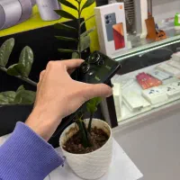 note13 pro 256 8|موبایل|کرج, اصفهانی‌ها|دیوار