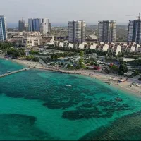 فروش-انبار-درخت-سبز