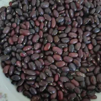 ترخینه روغن محلی|خوردنی و آشامیدنی|هرسین, |دیوار