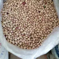 فروش انواع حبوبات سرحد