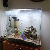 اکواریوم با تمام لوازم و ماهی