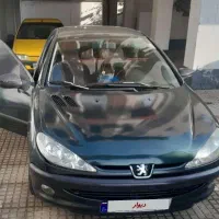 ۲۰۶ تمیز تمام رنگ