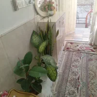 خانه فروشی|فروش آپارتمان|مشهد, پورسینا|دیوار