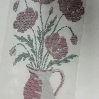 طراح ماهر مسلط به نرم افزار کورل