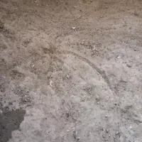 زمین کشاورزی آبی