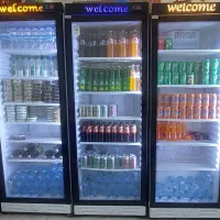 یخچال ایستاده تک درب