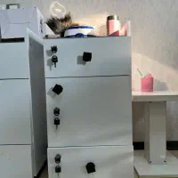 فروش ترولی و استند لاک نو فقط یکماه استفاده شده