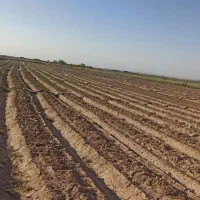 فروش زمین کشاورزی