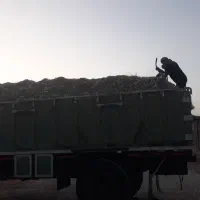 کود مرغ گوشتی و تخمگذار